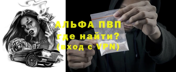 хмурый Аркадак