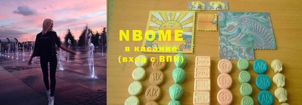 хмурый Аркадак